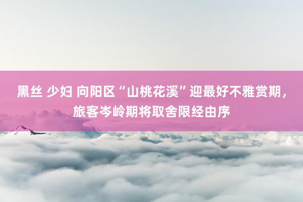 黑丝 少妇 向阳区“山桃花溪”迎最好不雅赏期,旅客岑岭期将取舍限经由序