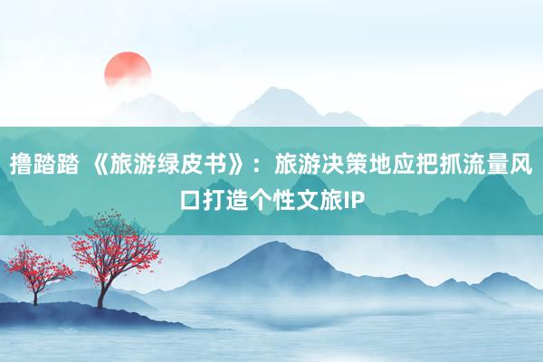 撸踏踏 《旅游绿皮书》：旅游决策地应把抓流量风口打造个性文旅IP