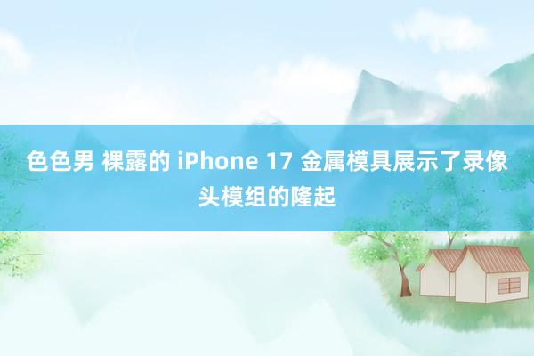 色色男 裸露的 iPhone 17 金属模具展示了录像头模组的隆起