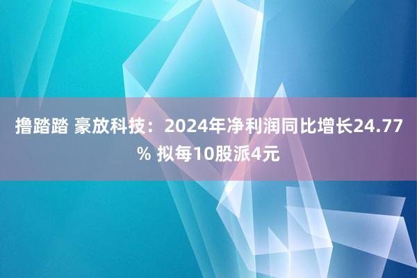 撸踏踏 豪放科技：2024年净利润同比增长24.77% 拟每10股派4元