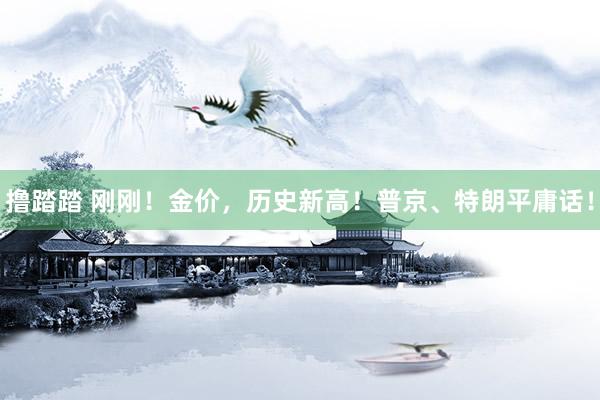 撸踏踏 刚刚！金价，历史新高！普京、特朗平庸话！