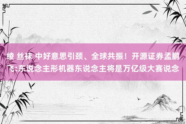 绫 丝袜 中好意思引颈、全球共振！开源证券孟鹏飞:东说念主形机器东说念主将是万亿级大赛说念