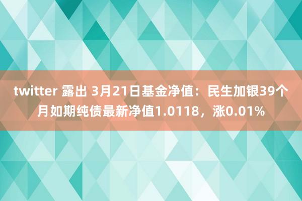 twitter 露出 3月21日基金净值：民生加银39个月如期纯债最新净值1.0118，涨0.01%