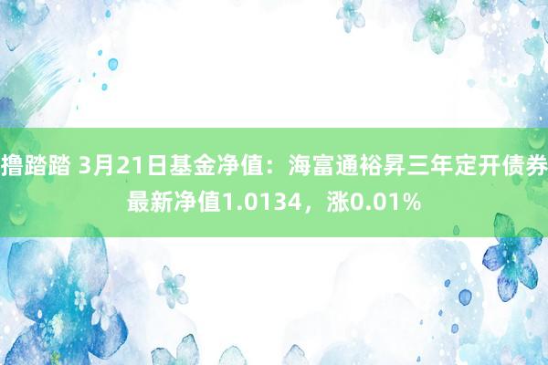 撸踏踏 3月21日基金净值：海富通裕昇三年定开债券最新净值1.0134，涨0.01%