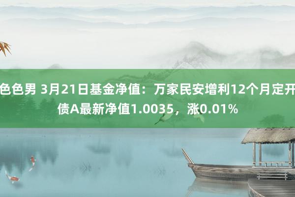 色色男 3月21日基金净值：万家民安增利12个月定开债A最新净值1.0035，涨0.01%