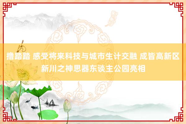 撸踏踏 感受将来科技与城市生计交融 成皆高新区新川之神思器东谈主公园亮相