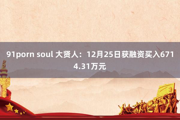 91porn soul 大贤人：12月25日获融资买入6714.31万元