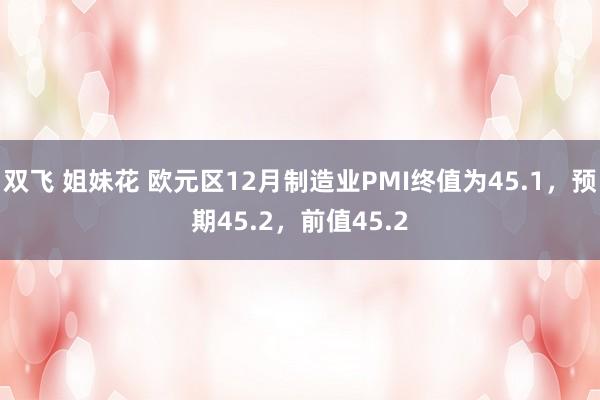 双飞 姐妹花 欧元区12月制造业PMI终值为45.1，预期45.2，前值45.2