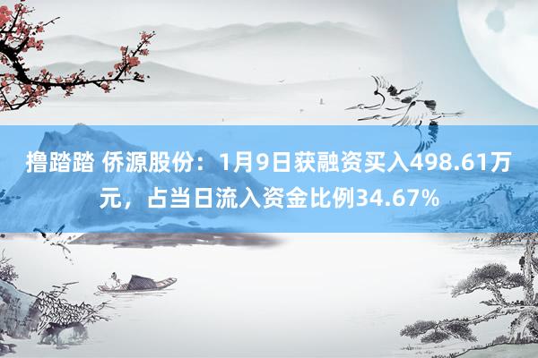 撸踏踏 侨源股份：1月9日获融资买入498.61万元，占当日流入资金比例34.67%