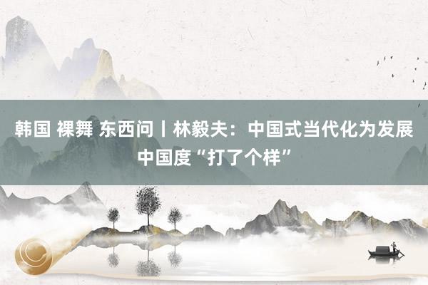 韩国 裸舞 东西问丨林毅夫：中国式当代化为发展中国度“打了个样”