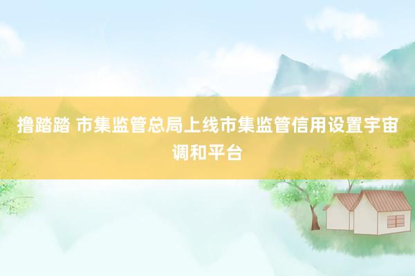 撸踏踏 市集监管总局上线市集监管信用设置宇宙调和平台