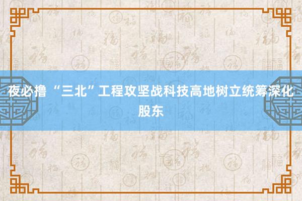 夜必撸 “三北”工程攻坚战科技高地树立统筹深化股东