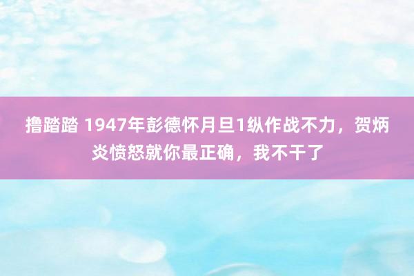 撸踏踏 1947年彭德怀月旦1纵作战不力，贺炳炎愤怒就你最正确，我不干了