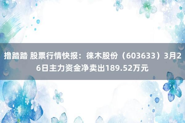 撸踏踏 股票行情快报：徕木股份（603633）3月26日主力资金净卖出189.52万元