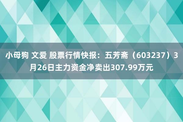 小母狗 文爱 股票行情快报：五芳斋（603237）3月26日主力资金净卖出307.99万元