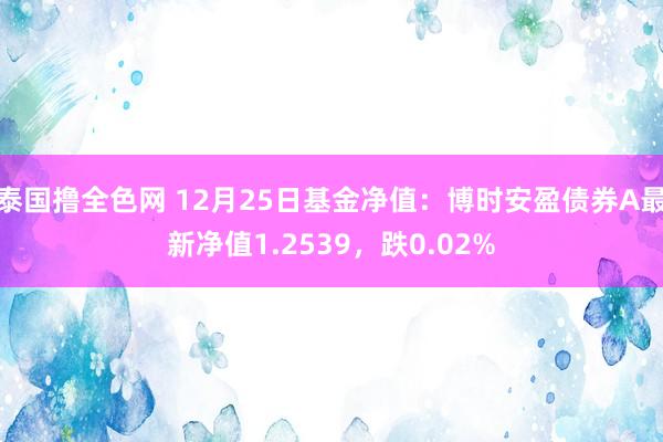 泰国撸全色网 12月25日基金净值：博时安盈债券A最新净值1.2539，跌0.02%