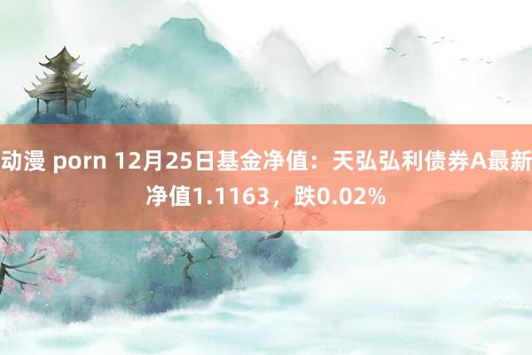 动漫 porn 12月25日基金净值：天弘弘利债券A最新净值1.1163，跌0.02%
