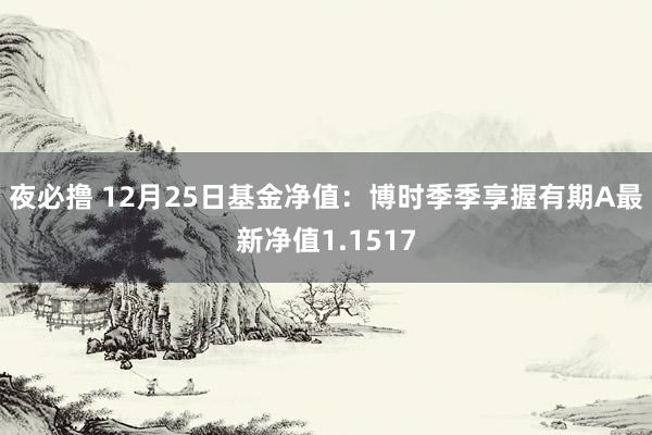 夜必撸 12月25日基金净值：博时季季享握有期A最新净值1.1517
