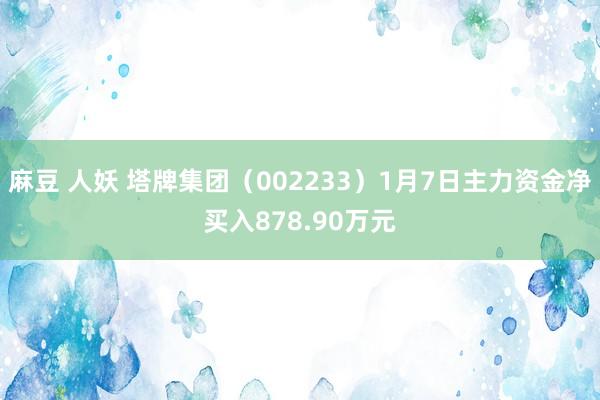 麻豆 人妖 塔牌集团（002233）1月7日主力资金净买入878.90万元