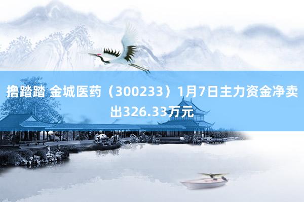 撸踏踏 金城医药（300233）1月7日主力资金净卖出326.33万元