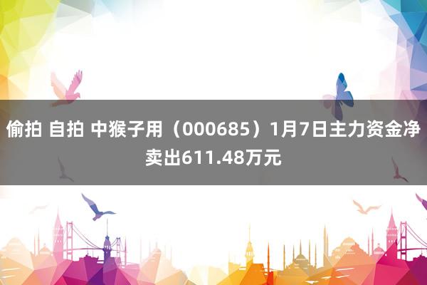 偷拍 自拍 中猴子用（000685）1月7日主力资金净卖出611.48万元