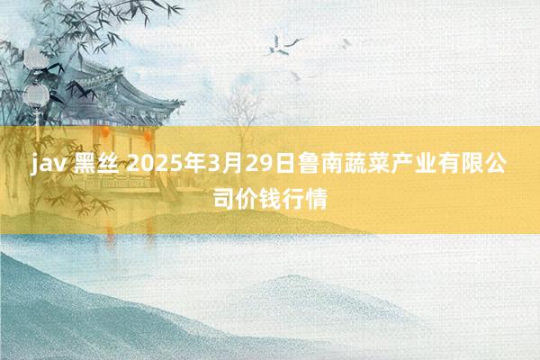 jav 黑丝 2025年3月29日鲁南蔬菜产业有限公司价钱行情