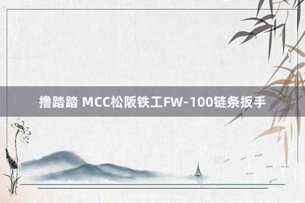 撸踏踏 MCC松阪铁工FW-100链条扳手