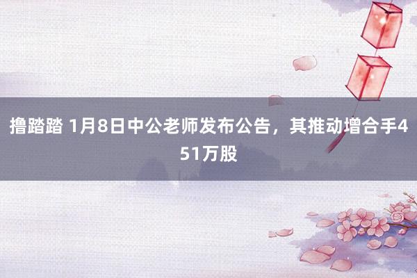 撸踏踏 1月8日中公老师发布公告，其推动增合手451万股