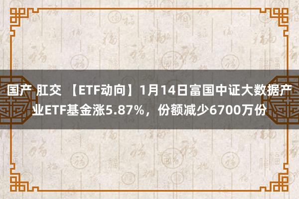 国产 肛交 【ETF动向】1月14日富国中证大数据产业ETF基金涨5.87%，份额减少6700万份