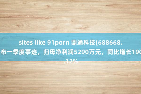 sites like 91porn 鼎通科技(688668.SH)发布一季度事迹，归母净利润5290万元，同比增长190.12%