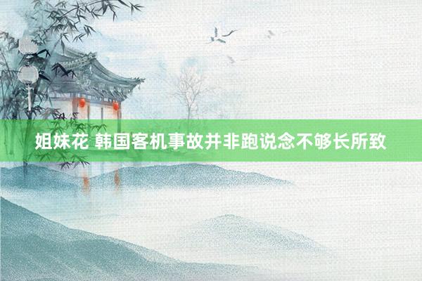 姐妹花 韩国客机事故并非跑说念不够长所致