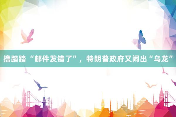 撸踏踏 “邮件发错了”，特朗普政府又闹出“乌龙”