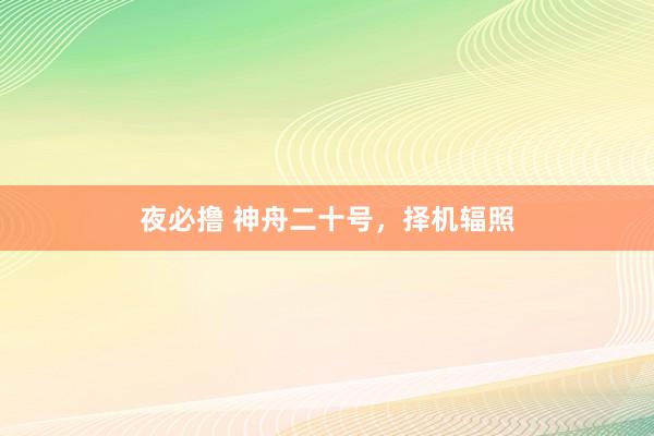夜必撸 神舟二十号，择机辐照