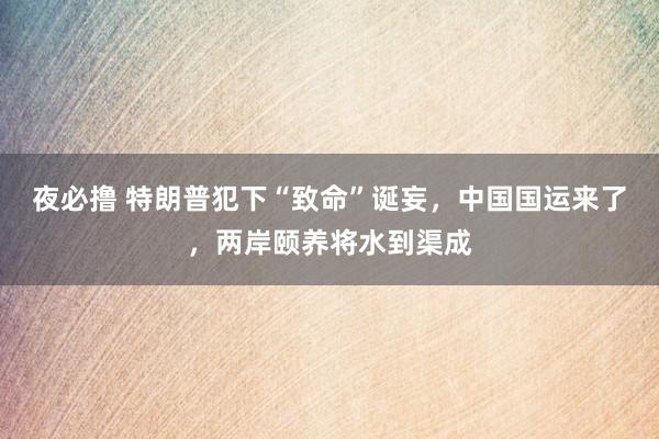 夜必撸 特朗普犯下“致命”诞妄，中国国运来了，两岸颐养将水到渠成
