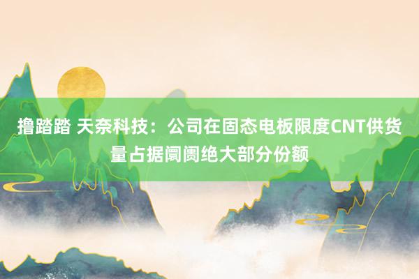 撸踏踏 天奈科技：公司在固态电板限度CNT供货量占据阛阓绝大部分份额