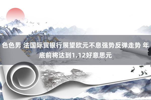 色色男 法国际贸银行展望欧元不息强势反弹走势 年底前将达到1.12好意思元