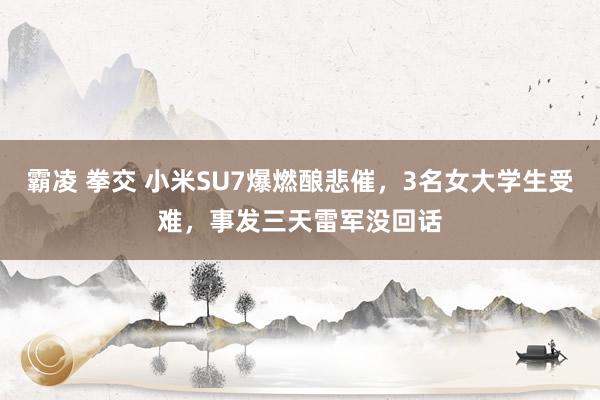 霸凌 拳交 小米SU7爆燃酿悲催，3名女大学生受难，事发三天雷军没回话