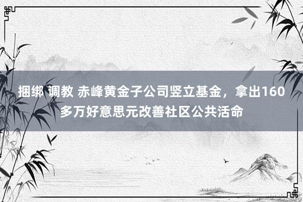 捆绑 调教 赤峰黄金子公司竖立基金，拿出160多万好意思元改善社区公共活命