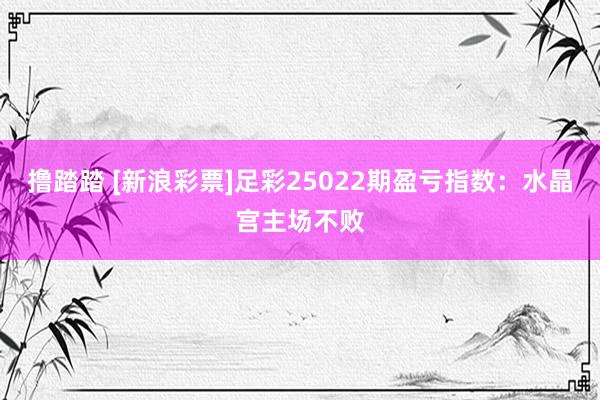 撸踏踏 [新浪彩票]足彩25022期盈亏指数：水晶宫主场不败