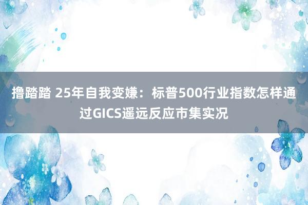 撸踏踏 25年自我变嫌：标普500行业指数怎样通过GICS遥远反应市集实况