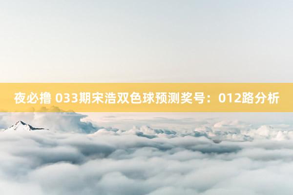 夜必撸 033期宋浩双色球预测奖号：012路分析